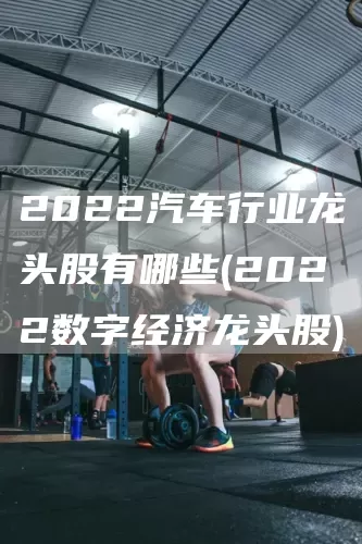 2022汽車行業(yè)龍頭股有哪些(2022數(shù)字經(jīng)濟(jì)龍頭股)(圖1)