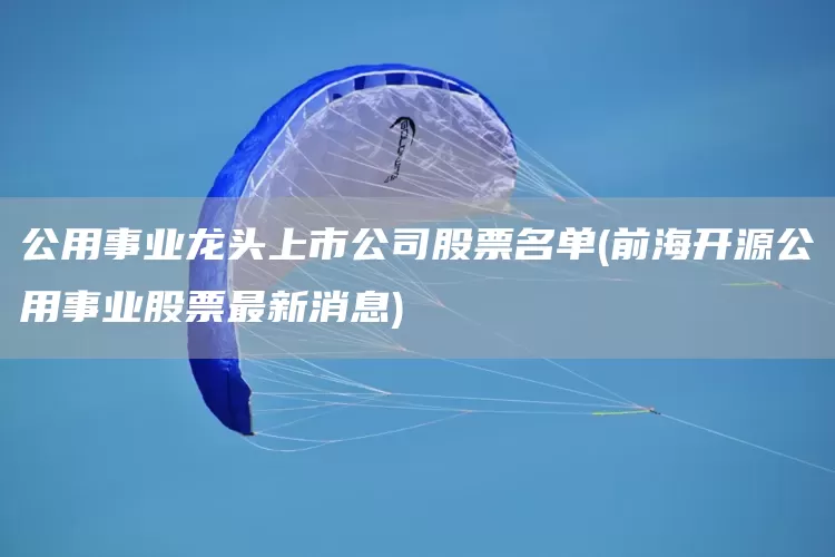 公用事業(yè)龍頭上市公司股票名單(前海開源公用事業(yè)股票最新消息)(圖1)