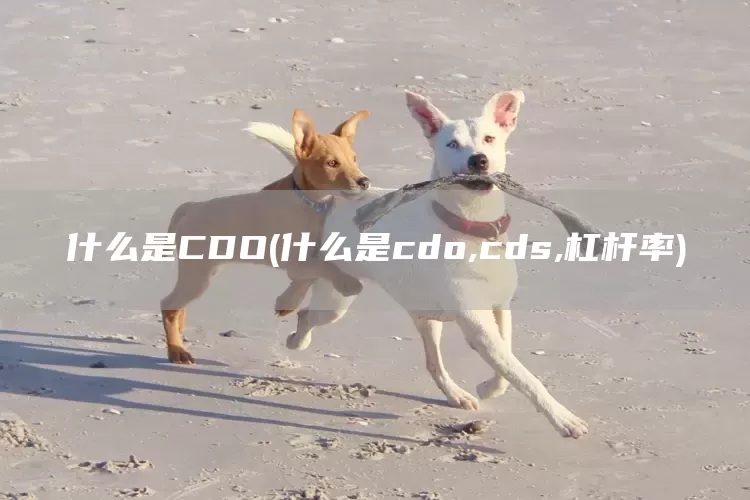 什么是CDO(什么是cdo,cds,杠桿率)(圖1)