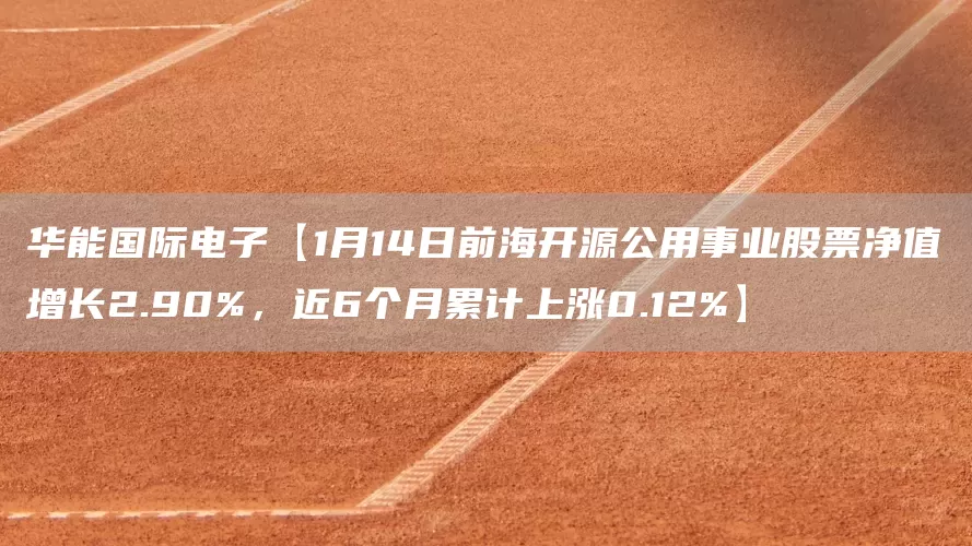 華能國際電子【1月14日前海開源公用事業(yè)股票凈值增長2.90%，近6個月累計上漲0.12%】(圖1)